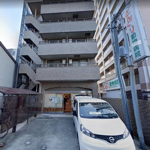 吹田どんぐり動物病院